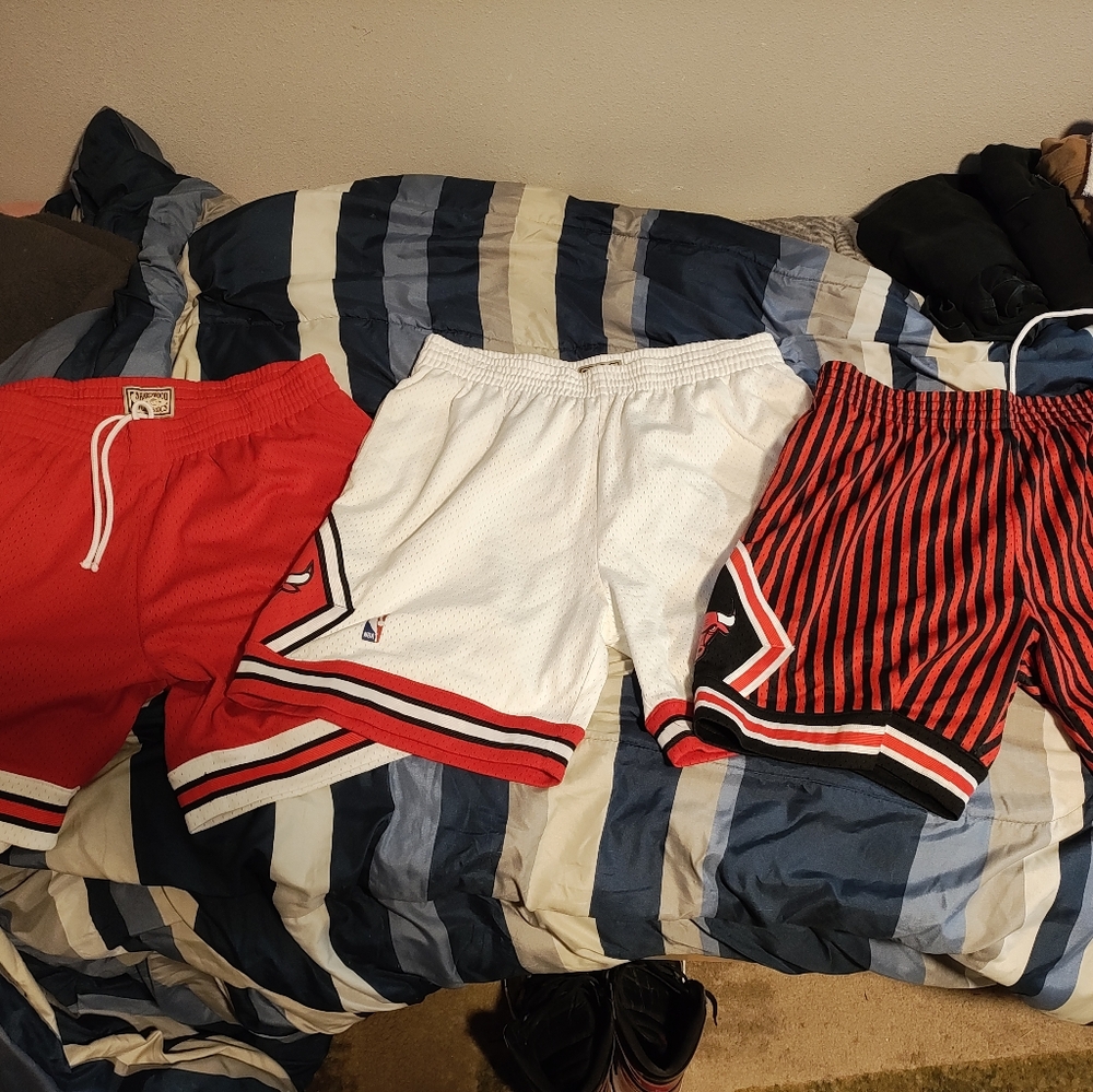 Mitchell and Ness Chicago bulls shorts lot